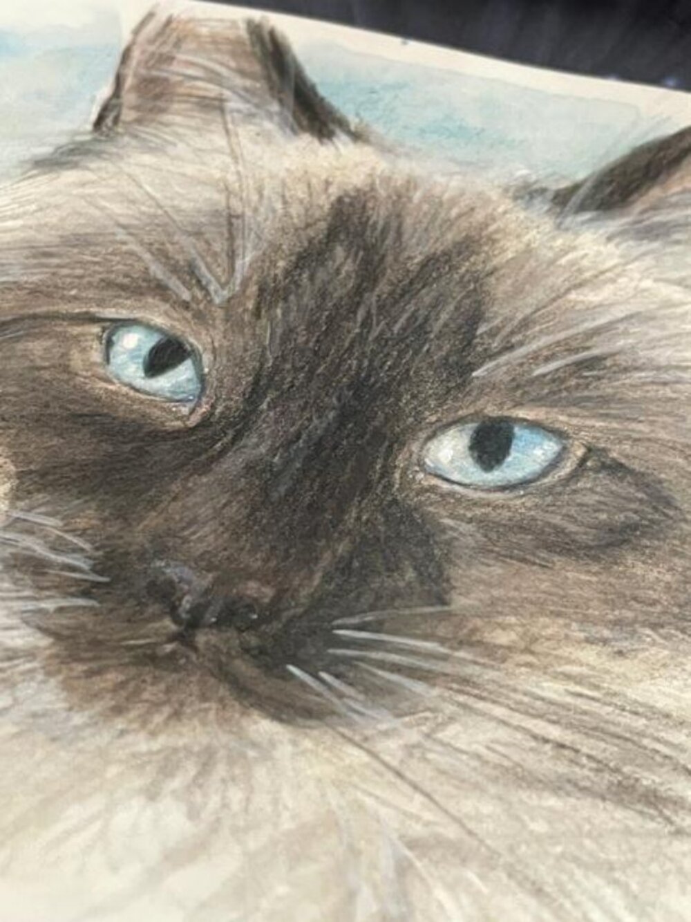 Ragdoll Cat - Original Mixed-Media Watercolor Painting Art Artwork 9 x 6 in